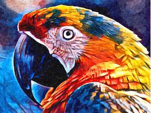 TROPICAL_0005