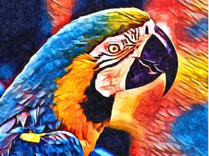 TROPICAL_0006