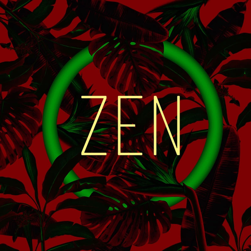 ZEN PLANTAS 02