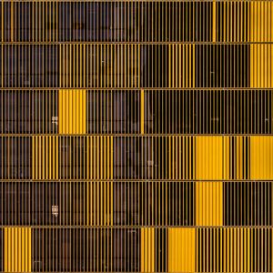 BRISE AMARELO 2