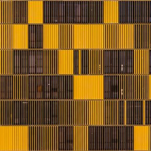 BRISE AMARELO 3