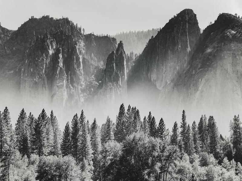 YOSEMITE VALLEY X