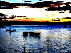 BARCOS #