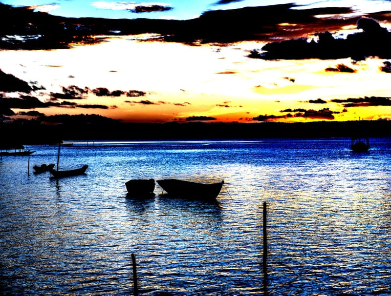 BARCOS #