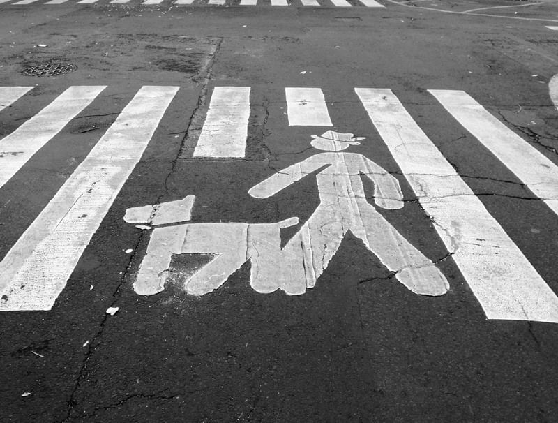 PERMITIDO PASSEAR COM CACHORROS