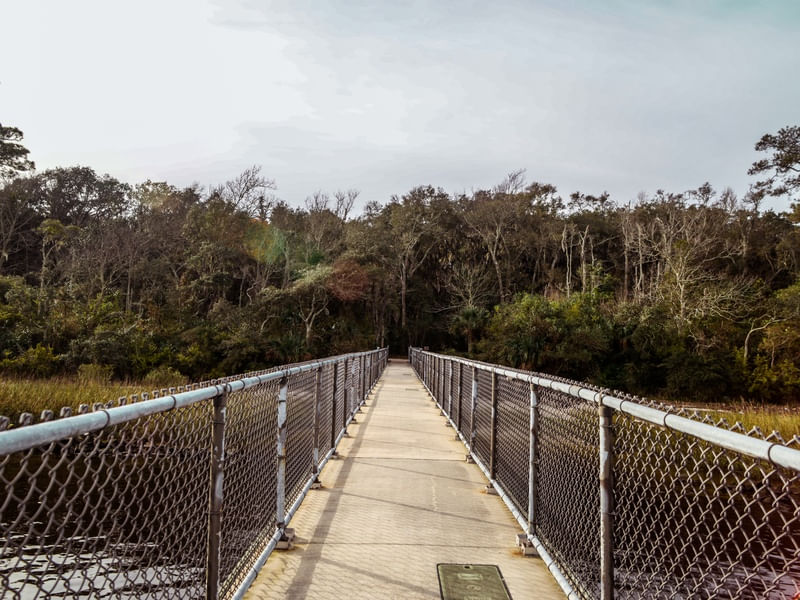 PONTE EM JACKSONVILLE