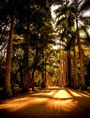 JARDIM BOTÂNICO RIO DE JANEIRO