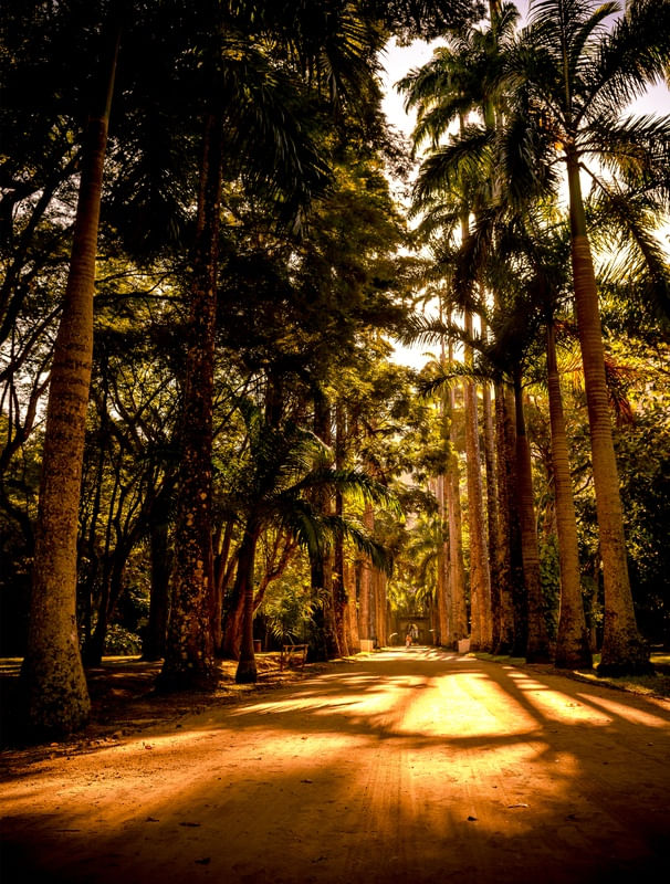 JARDIM BOTÂNICO RIO DE JANEIRO