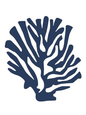 CORAL AZUL I