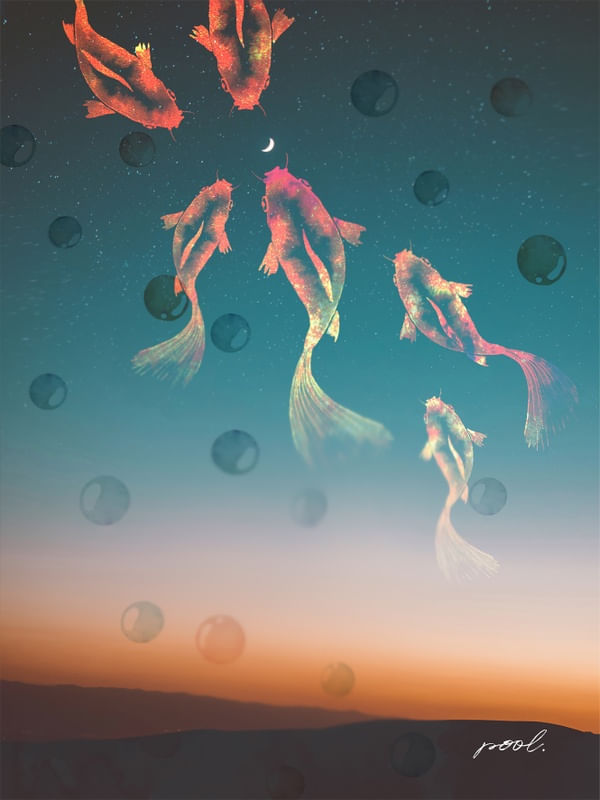 NIGHT DREAMS