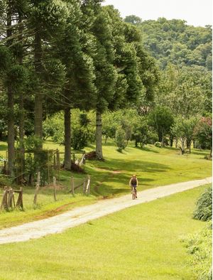 PEDALANDO PELO CAMPO