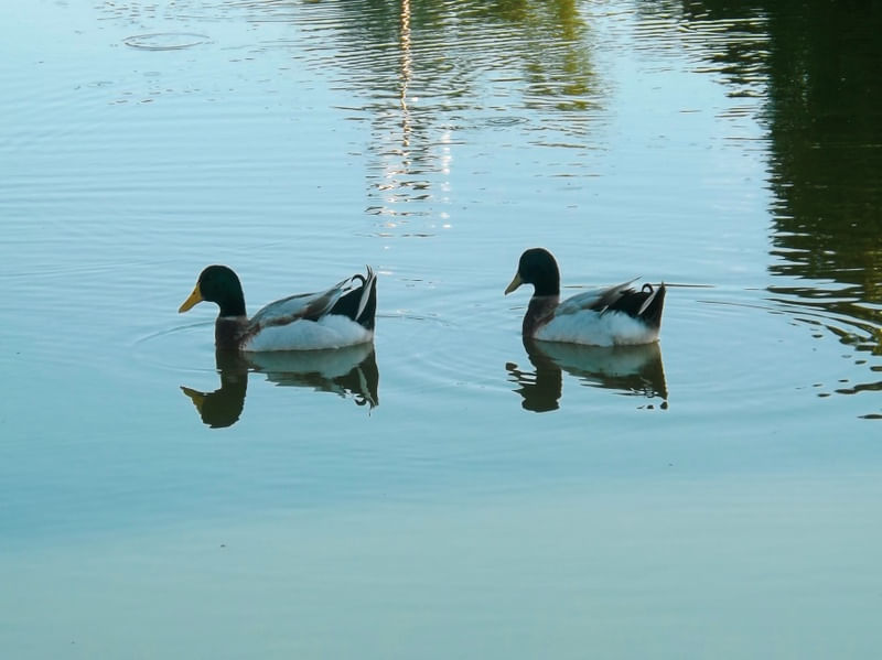 LAGO PARQUE DA CIDADANIA - TERESINA PI