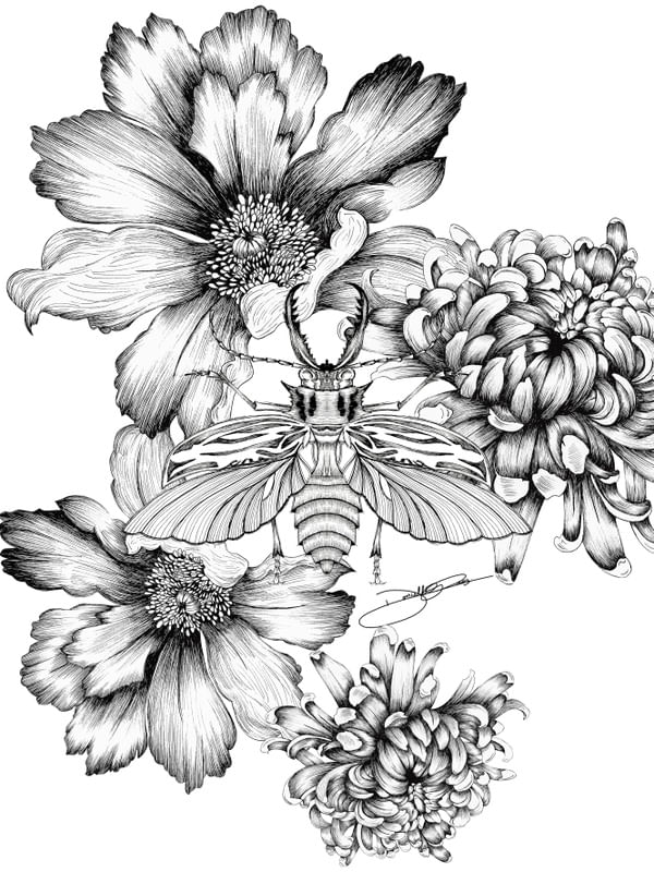 INSECTART 02