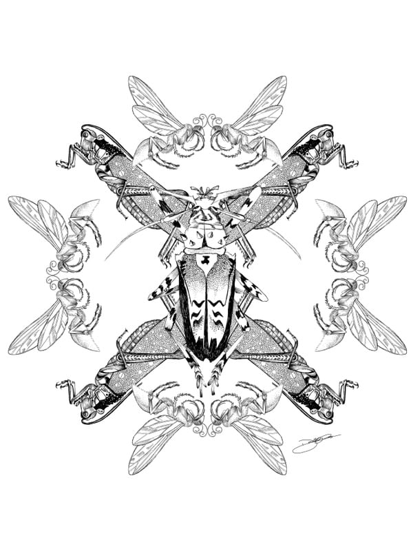 INSECTART CALEIDOSCÓPICA