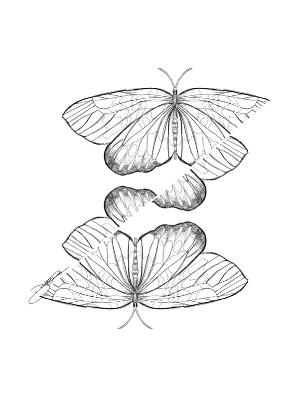 ABSTRACT INSECT