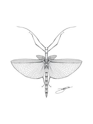 INSECTART 03