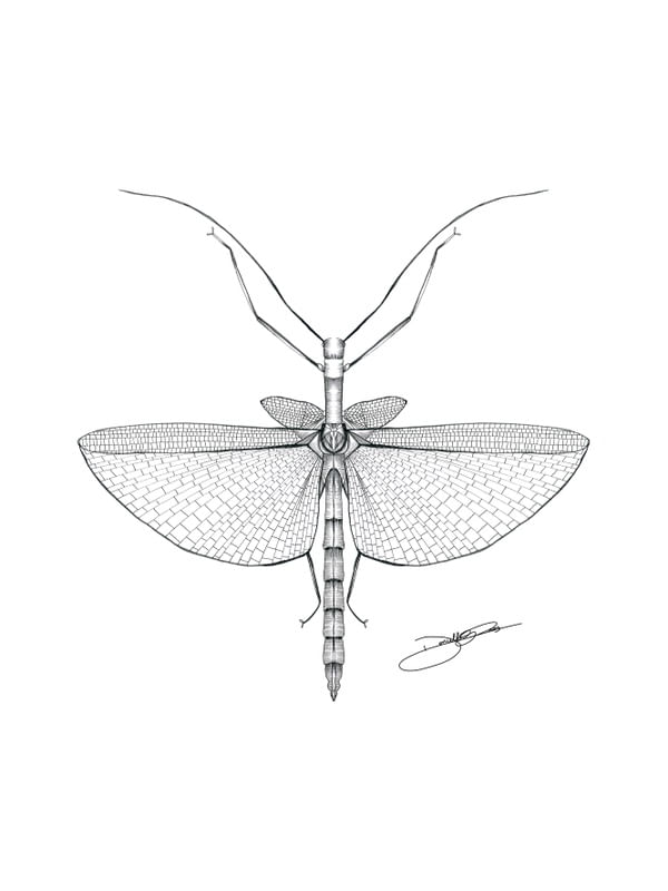 INSECTART 03