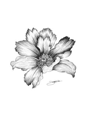 FLORES DO SUCESSO