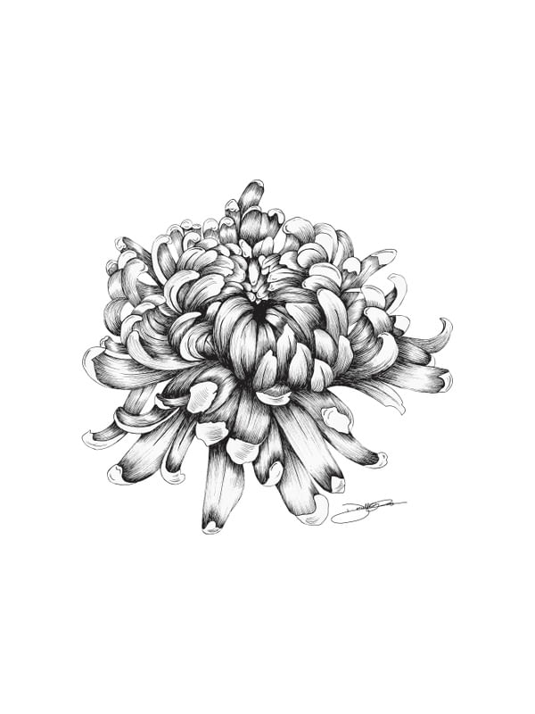 SPECIAL FLOWER