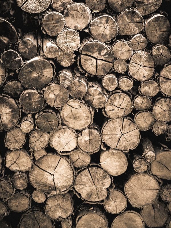 MADEIRA ABSTRATO