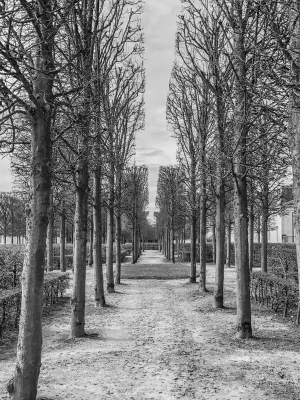 JARDIM DE VERSALHES