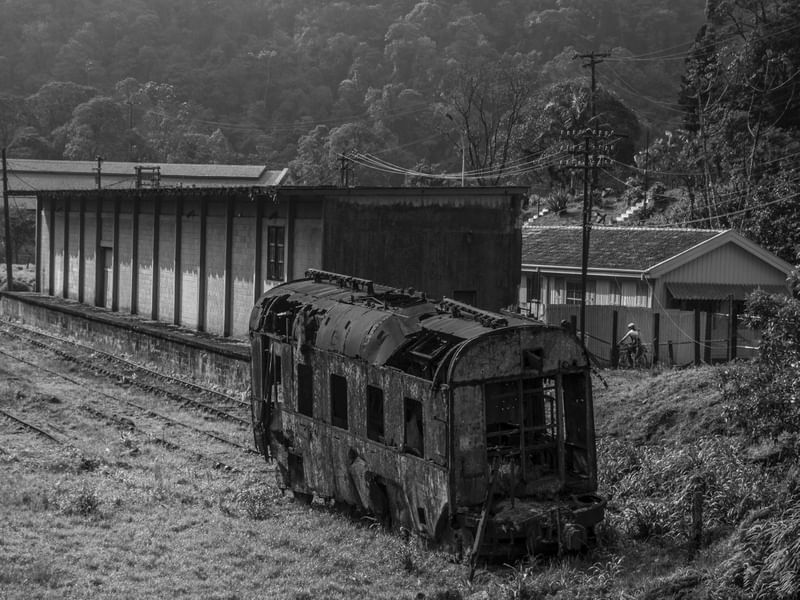 PARANAPIACABA (1)