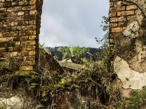 PARANAPIACABA (3)