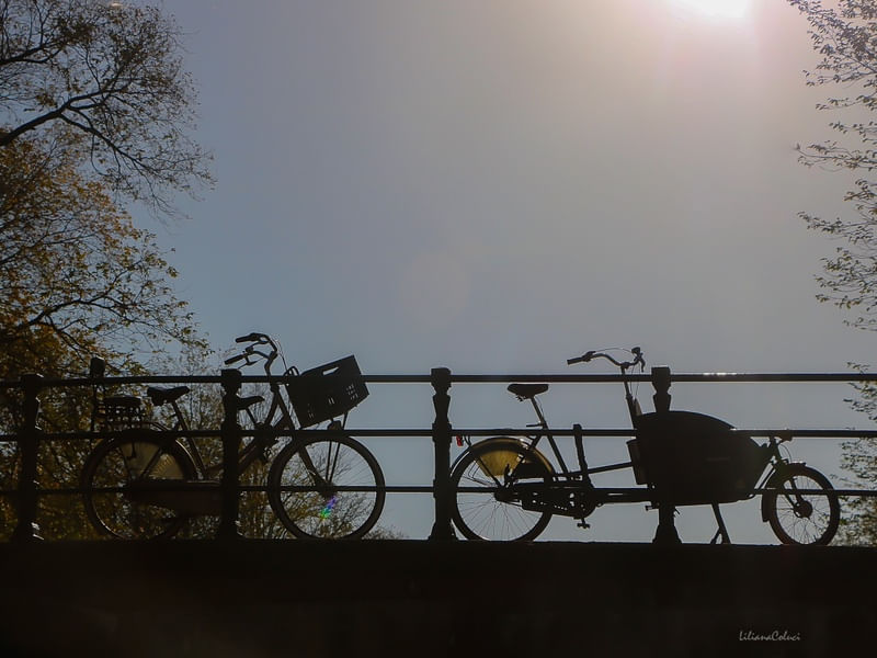 BIKES DE AMSTERDÃ I