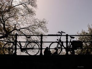 BIKES DE AMSTERDÃ III