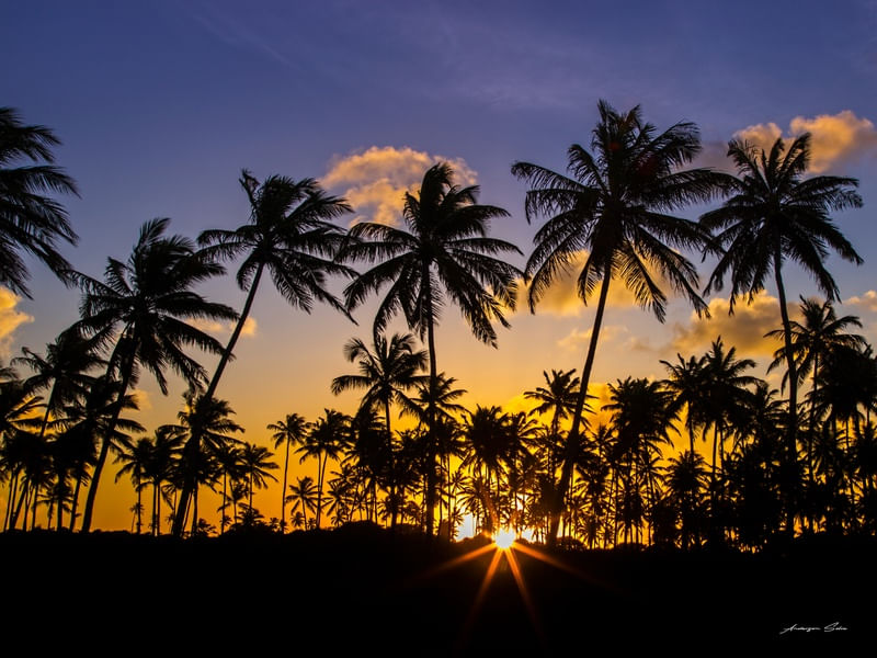 PRAIA BARRA DE GRAMAME