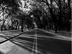 A AVENIDA