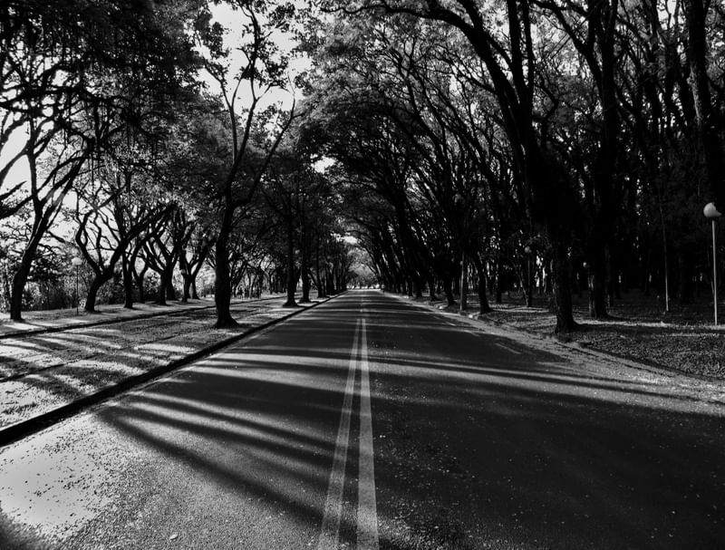 A AVENIDA