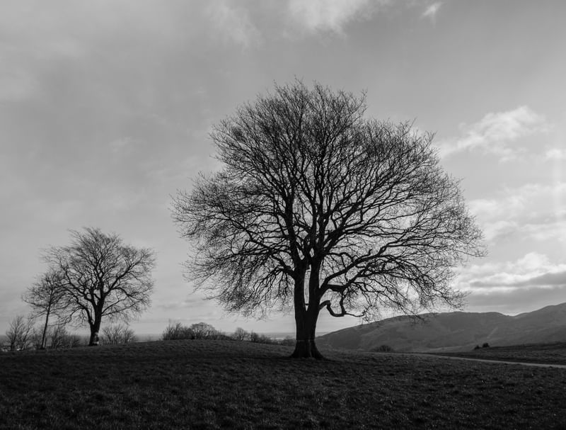 CAMPO NO INVERNO