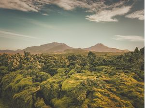 LAVA FIELD 7
