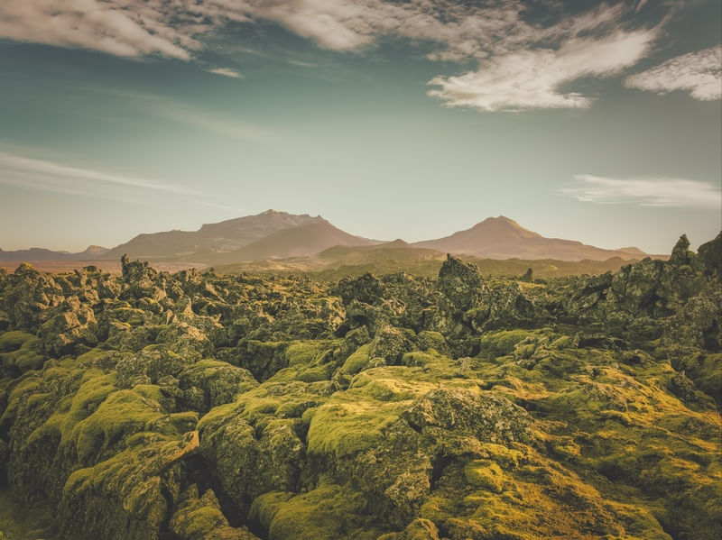 LAVA FIELD 7