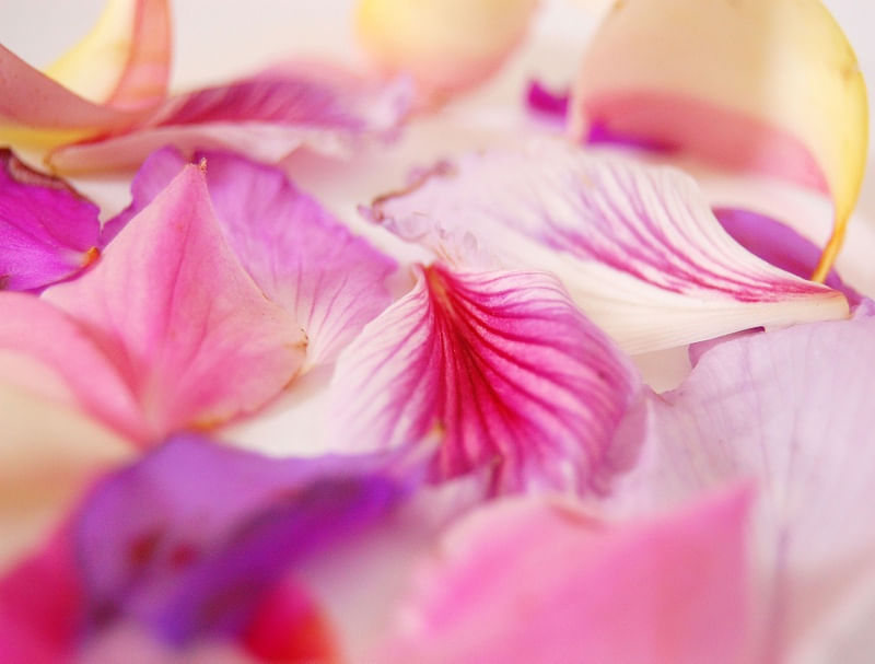 FLORAL FRESCO 2