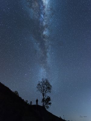 O FOTÓGRAFO, A VIA LÁCTEA E A ÁRVORE | O DIA EM QUE FAREMOS CONTATO