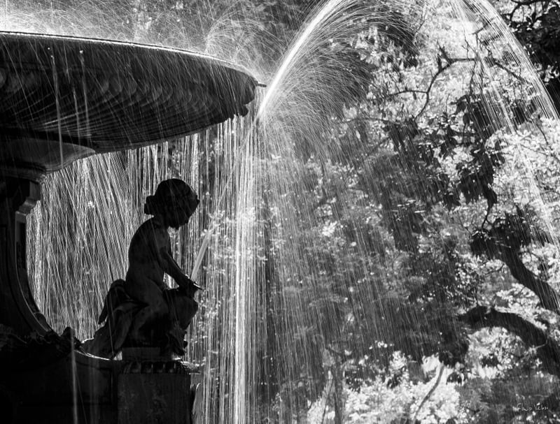 CHAFARIZ CENTRAL II, JARDIM BOTÂNICO DO RIO DE JANEIRO - PAISAGENS CARIOCAS