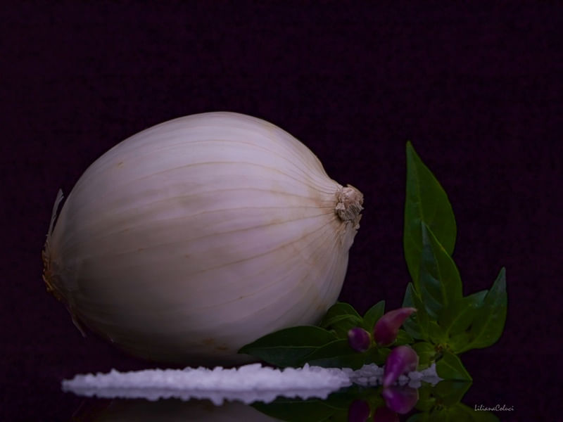 CEBOLA II