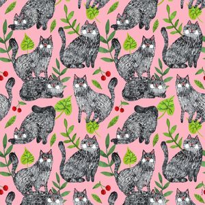 GATO PRETO ROSA