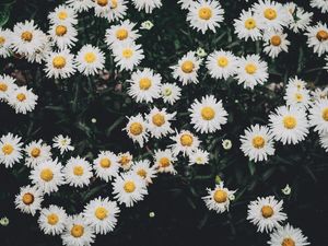 AGRIDOCE