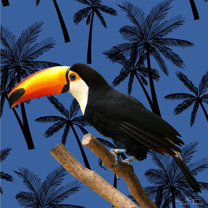 TUCANO TROPICAL FLORAL AZUL