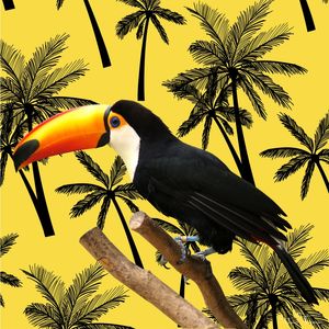 TUCANO TROPICAL AMARELO