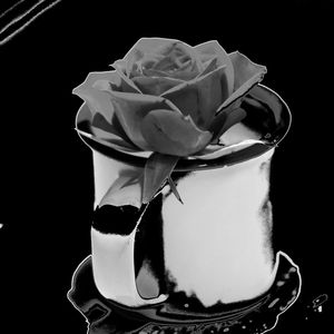 ROSA VERMELHA_10A