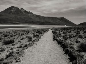 CAMINHOS DO VULCÃO
