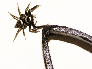 GRANDE ARANHA