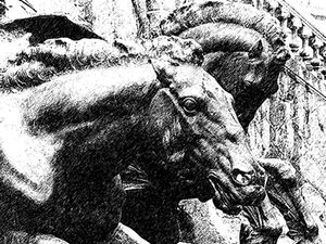 CAVALOS DA CIDADE