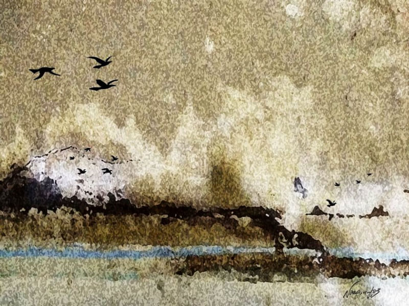 PAISAGEM CONCRETA