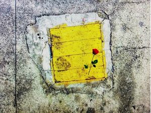 ROMANCE RÚSTICO