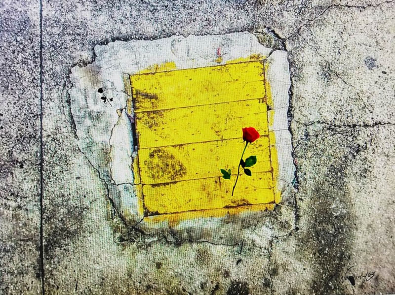 ROMANCE RÚSTICO